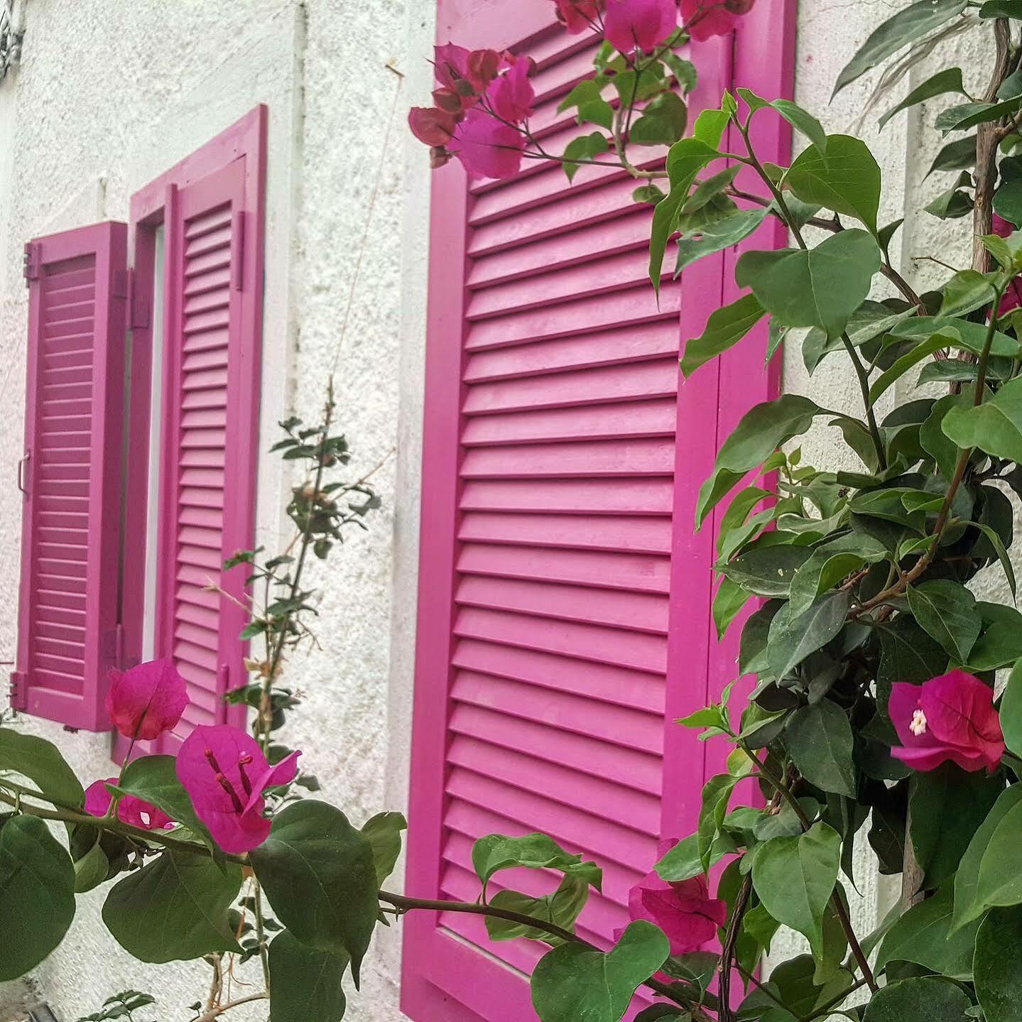 Alacati Alanur Otel מראה חיצוני תמונה